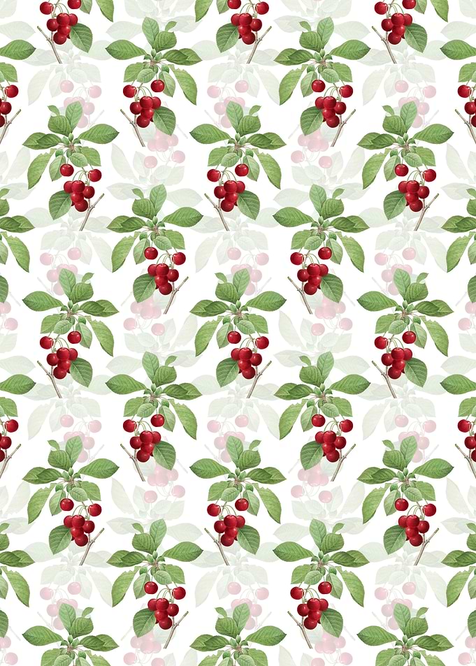 Floral Cherry Pattern