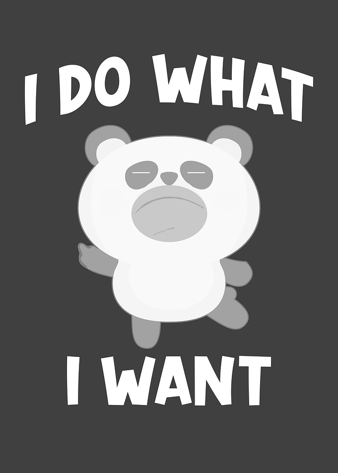 Panda Saying I Do What I