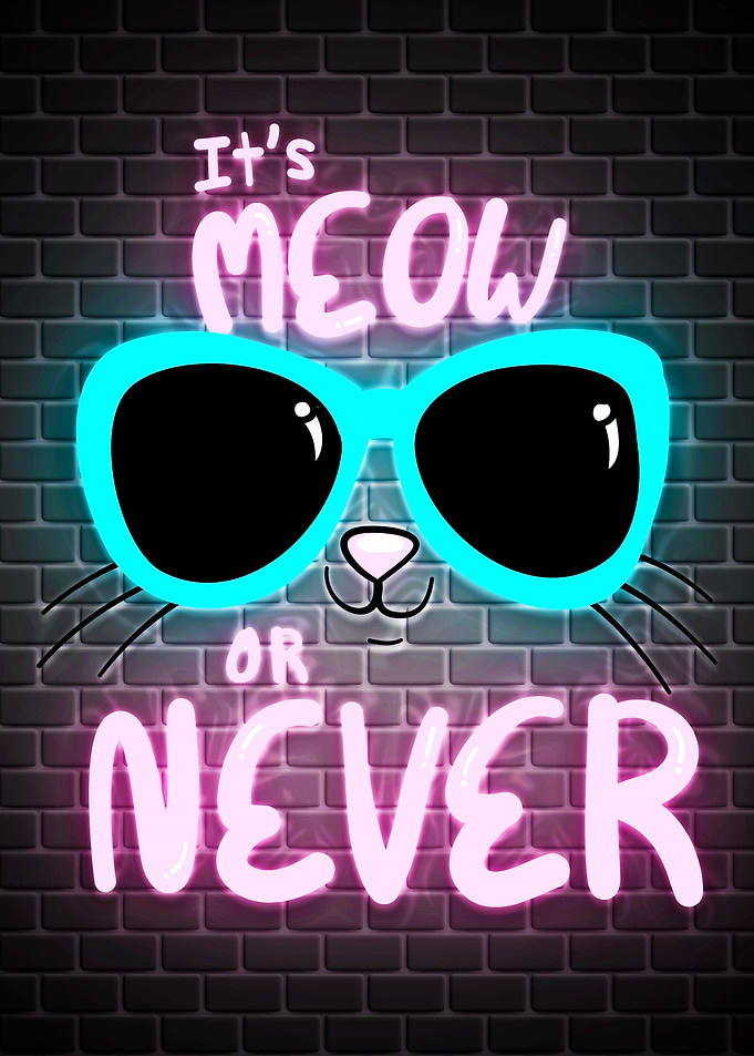 Funny Quotes