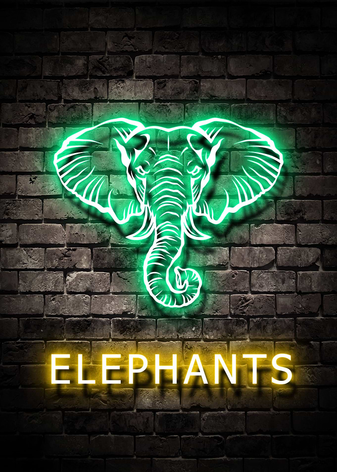 Elephants Animal