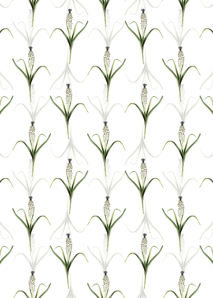 Grape Hyacinth Pattern
