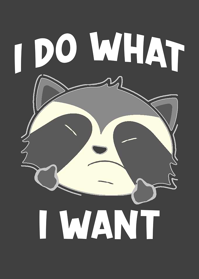 Raccoon Saying I Do What I