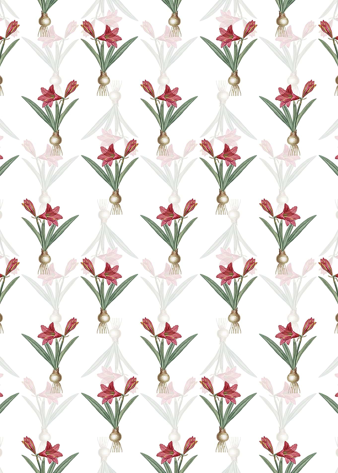 Floral Hippeastrum Pattern