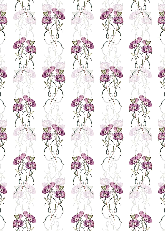Evening Primrose Pattern