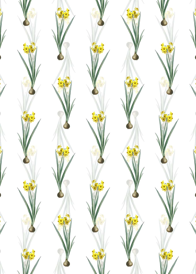 Floral Daffodil Pattern