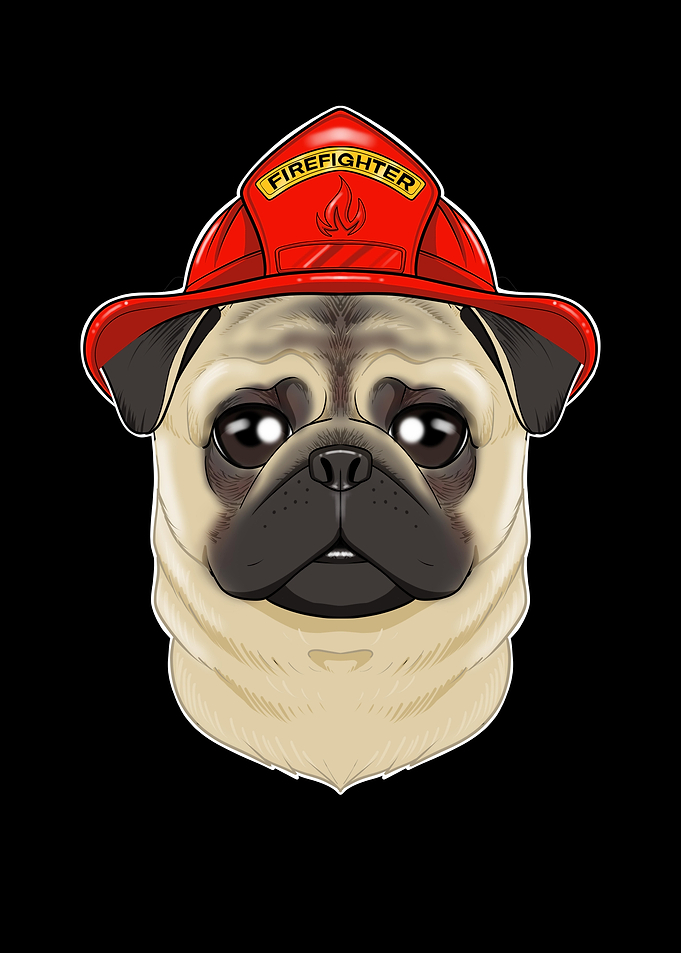 Canine Handler I Fireman