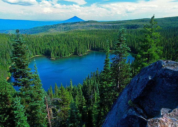Mountain at Lake in Forest