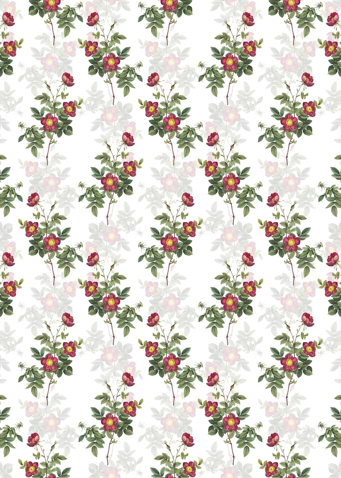 Floral Alpine Rose Pattern