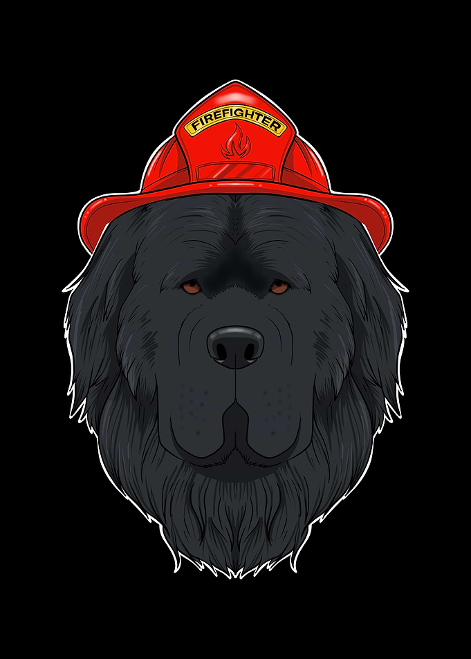 Canine Handler I Fireman