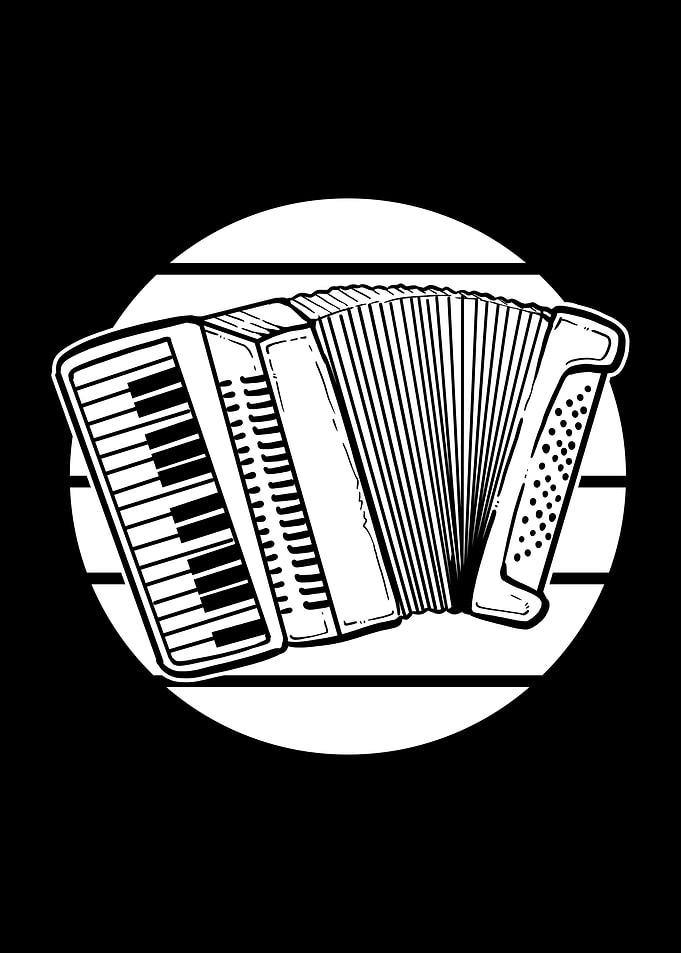 Accordion Accordionist