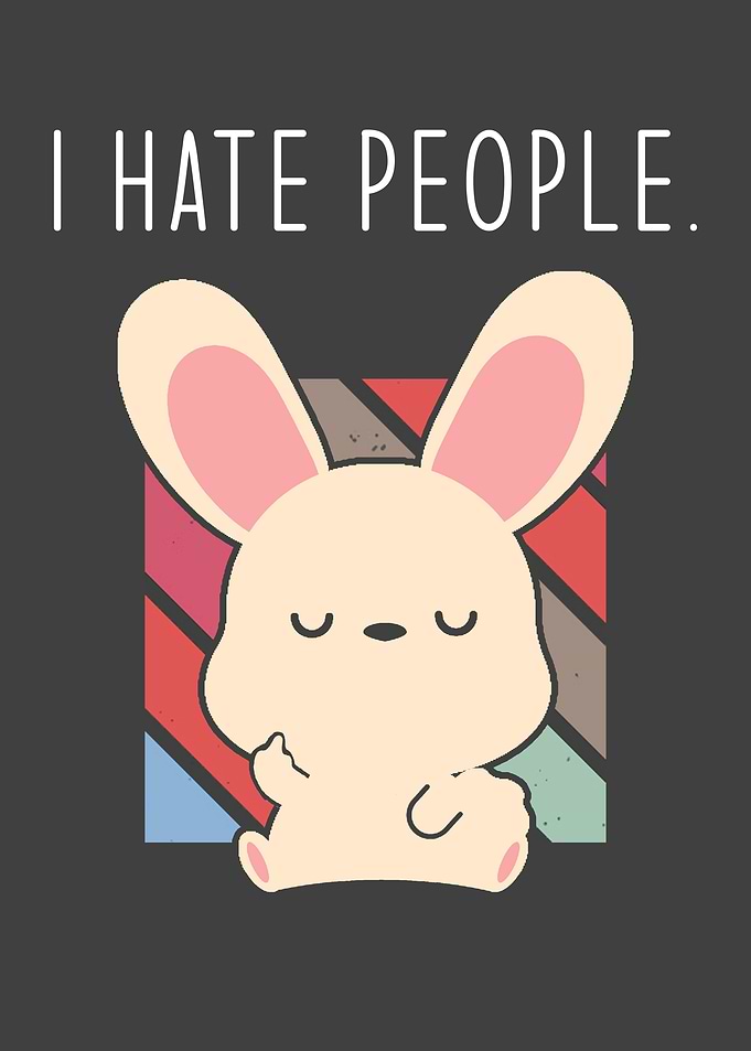 Funny Rabbit Saying I Hate