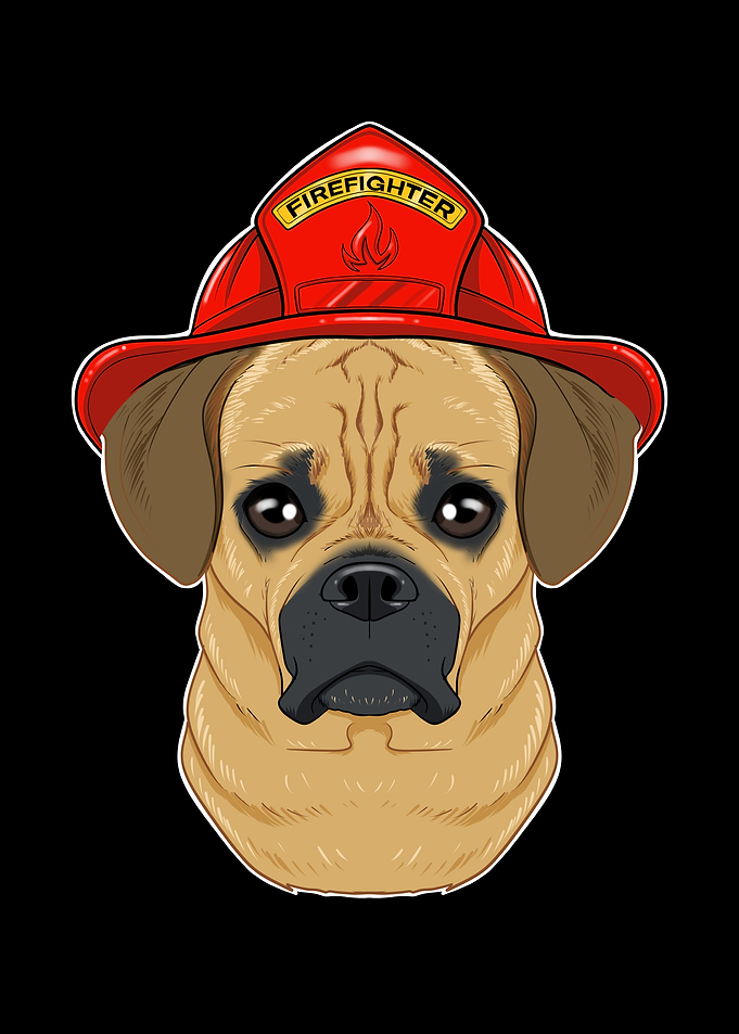 Canine Handler I Fireman