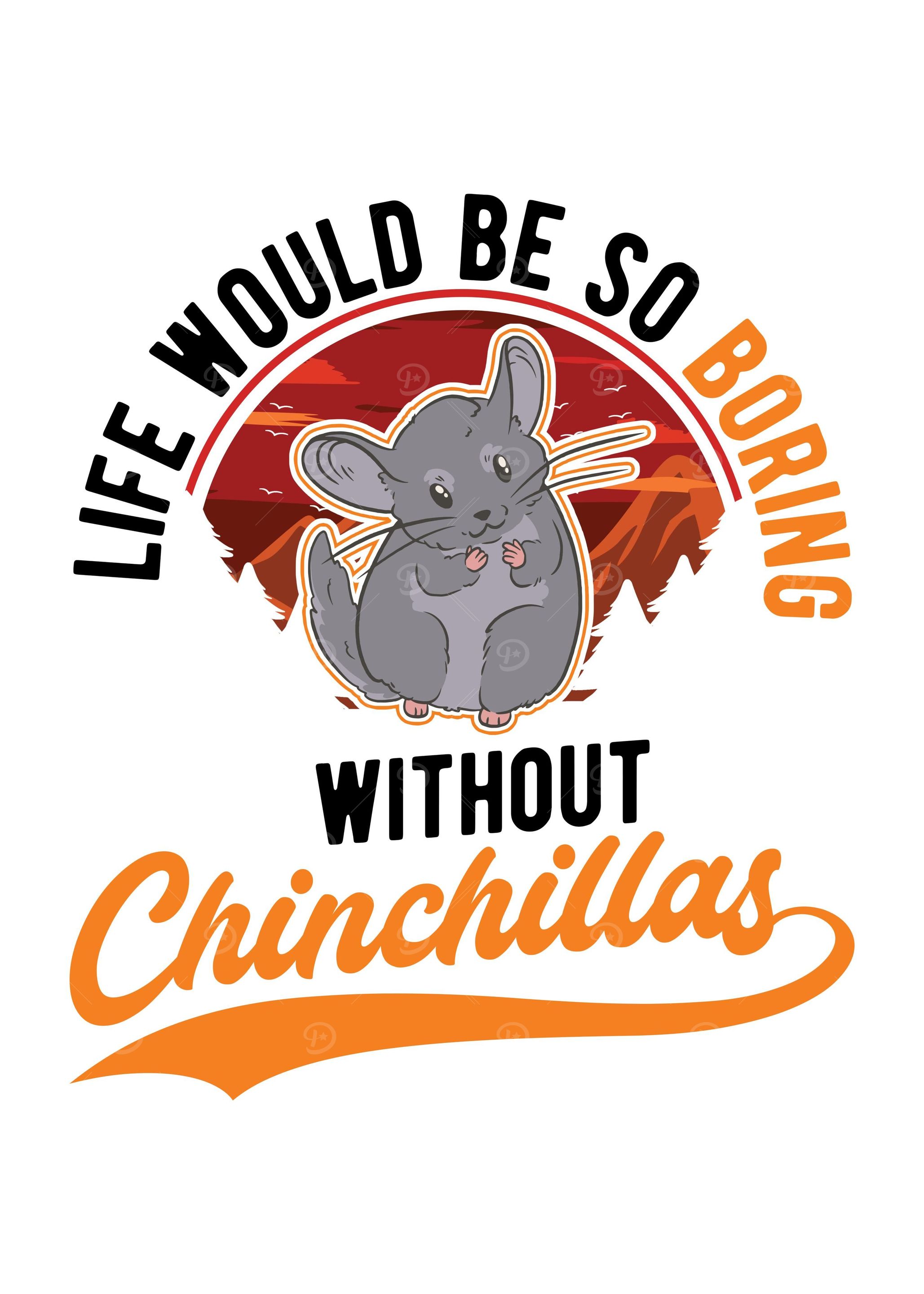 Chinchilla Lover