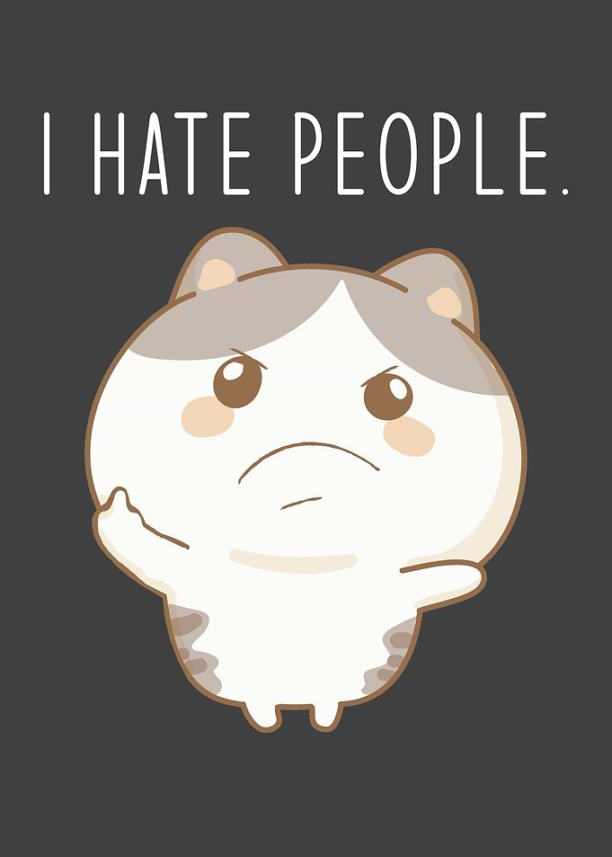 Funny Hamster Saying I