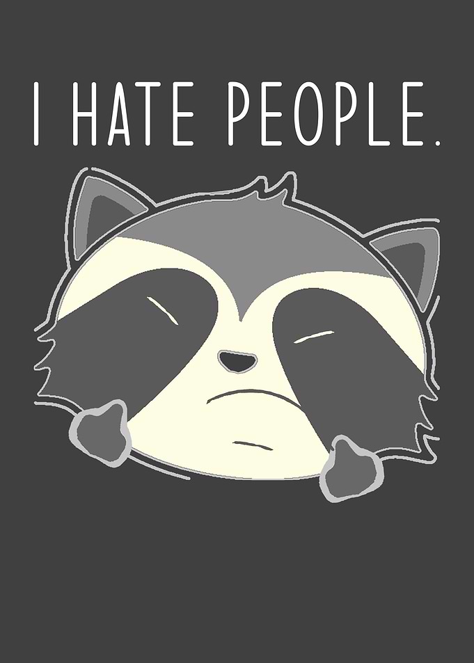 Funny Raccoon I Say I Hate