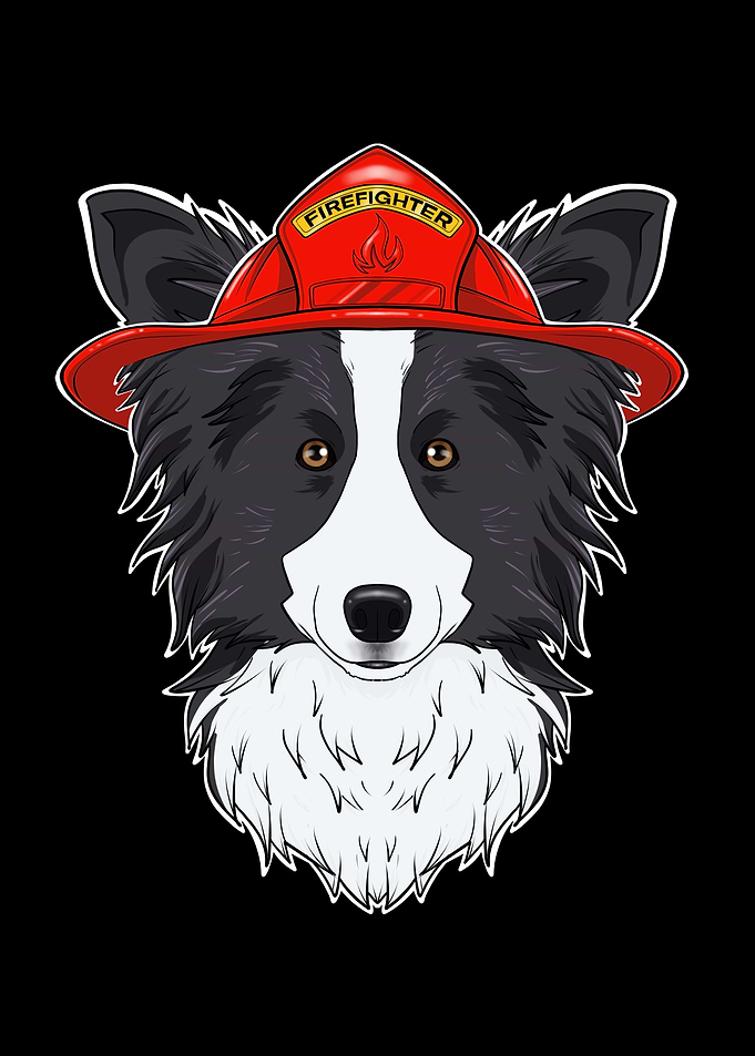Firefighter Border Collie