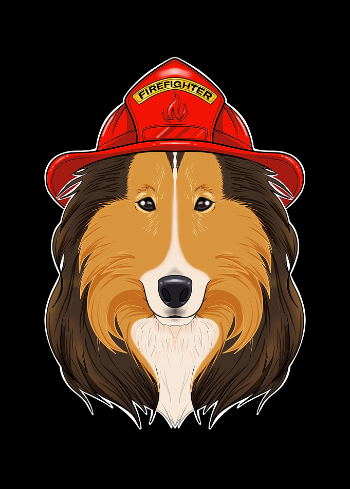 Firefighter Collie Canine