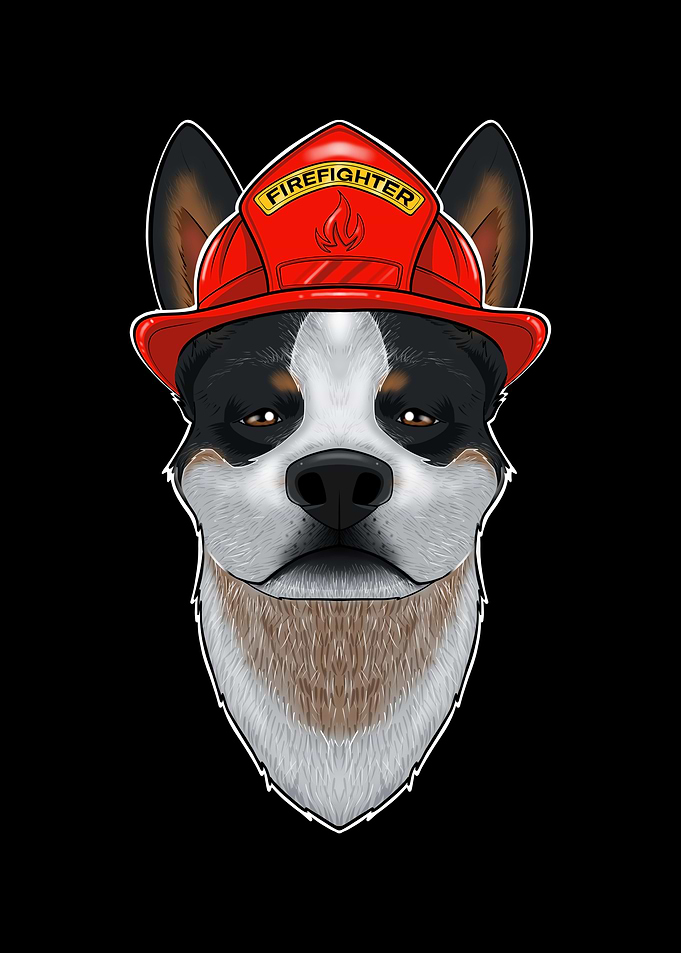 Firefighter Blue Heeler