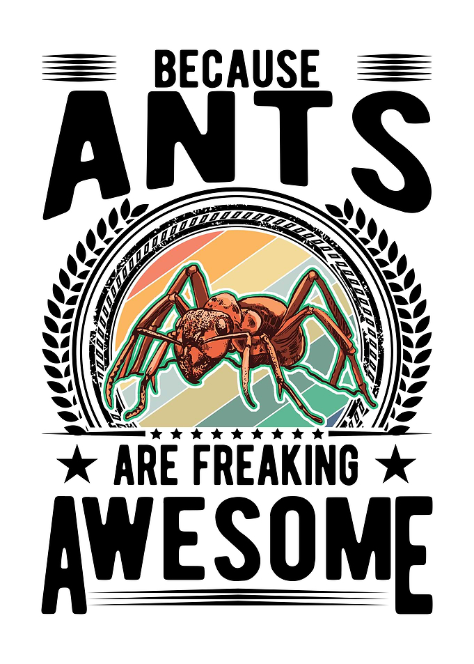 Ant Farm Ant Keeper