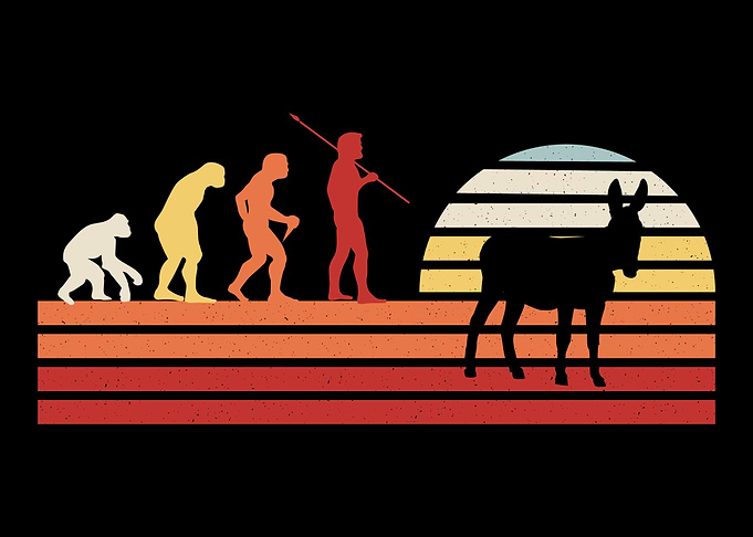 Retro Vintage Donkey