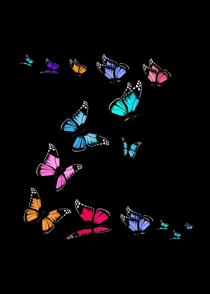 Colorful Butterflies