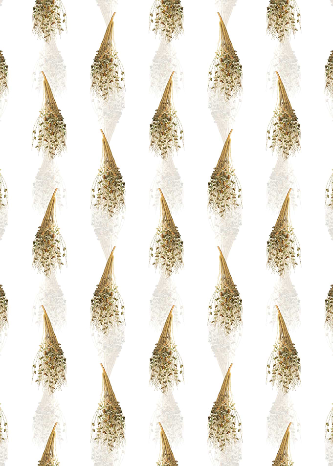 Normal Spadice of the Palm