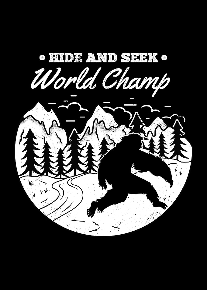 Hide And Seek World Champ