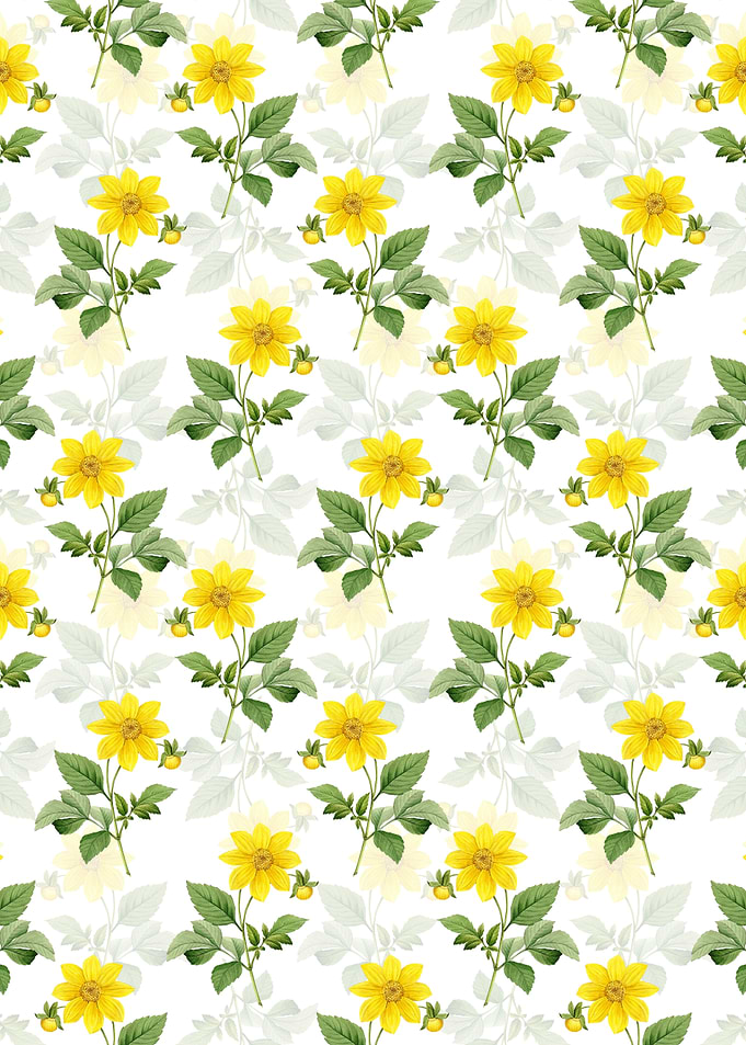 Dahlia Simplex Pattern