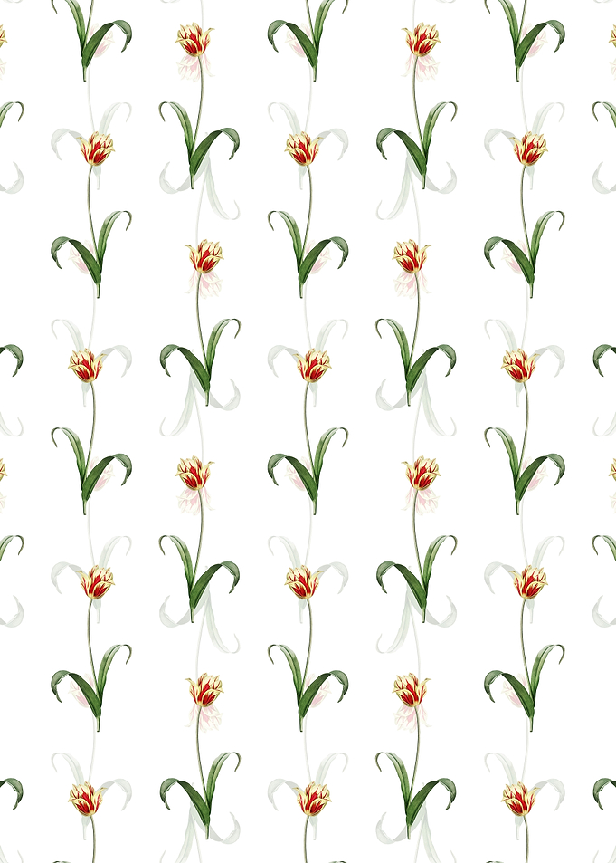 Didiers Tulip Pattern