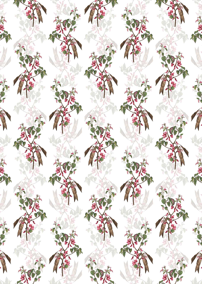 Floral Judas Tree Pattern