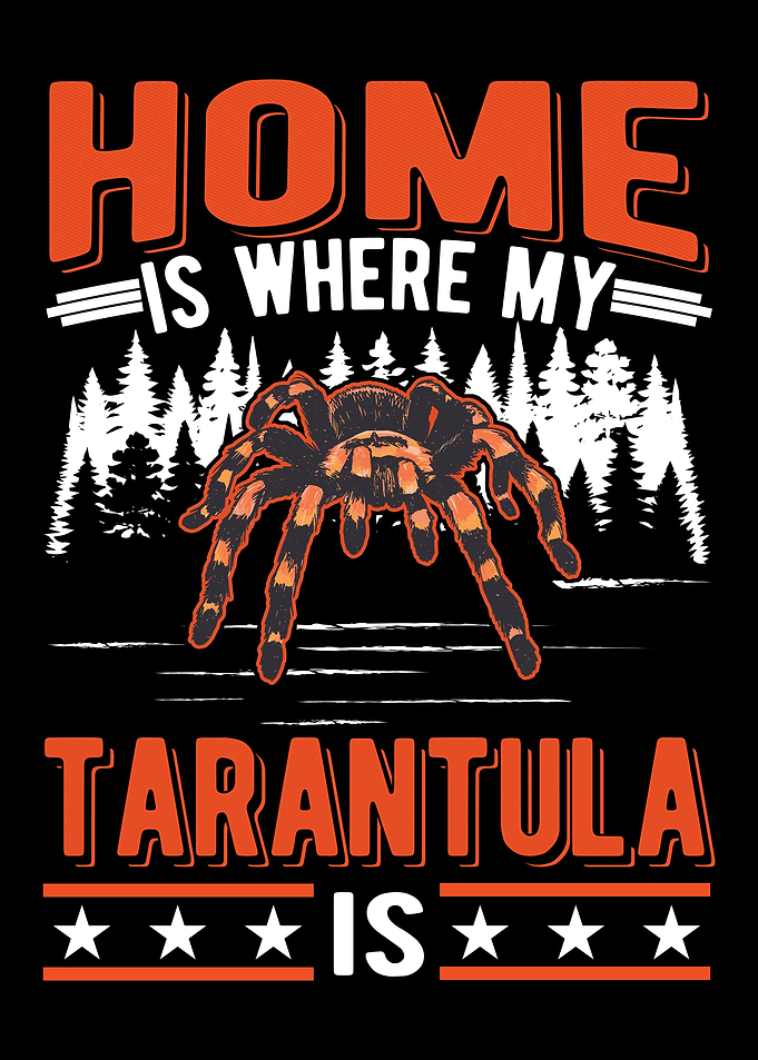 Tarantula Spider