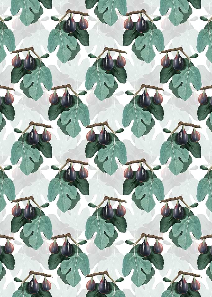 Vintage Floral Fig Pattern