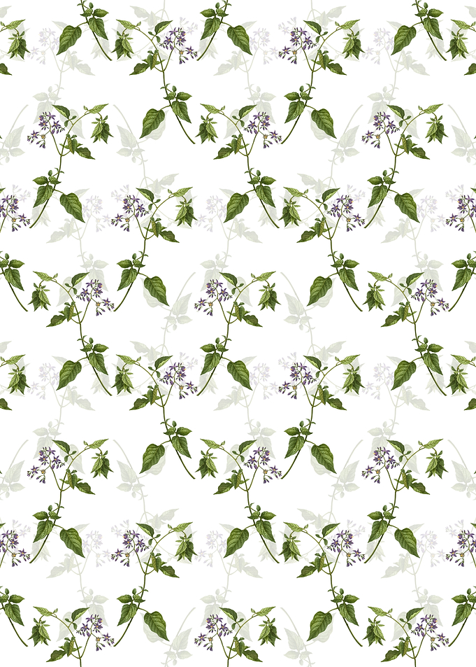 Floral Bittersweet Pattern