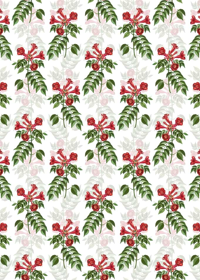 White Trumpet Vine Pattern