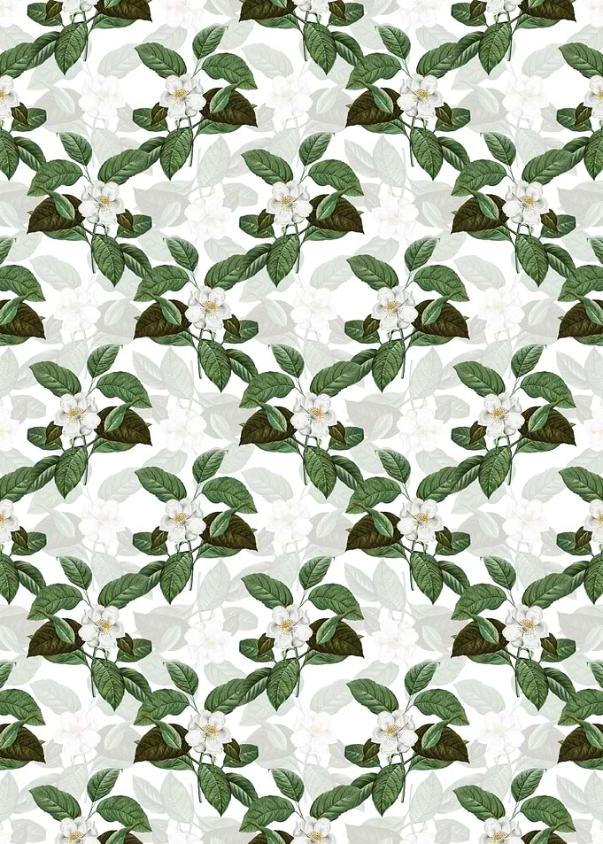 Stewartia Tree Pattern