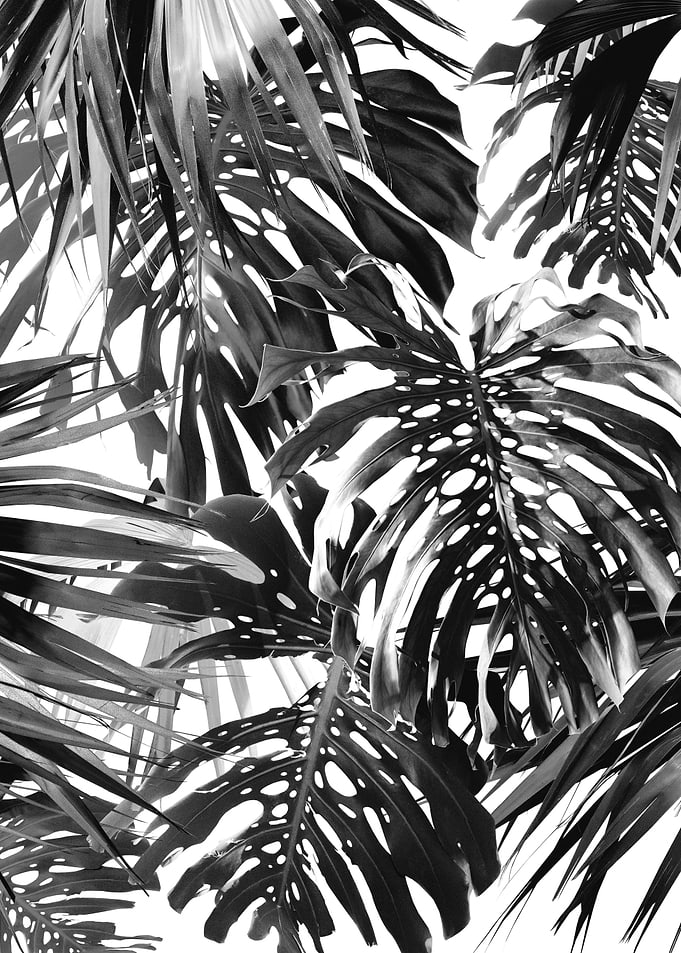 Vivid Tropical Jungle 2