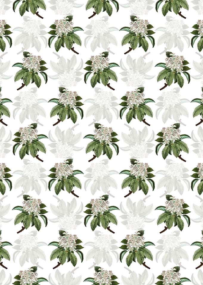 Floral Shipova Pattern