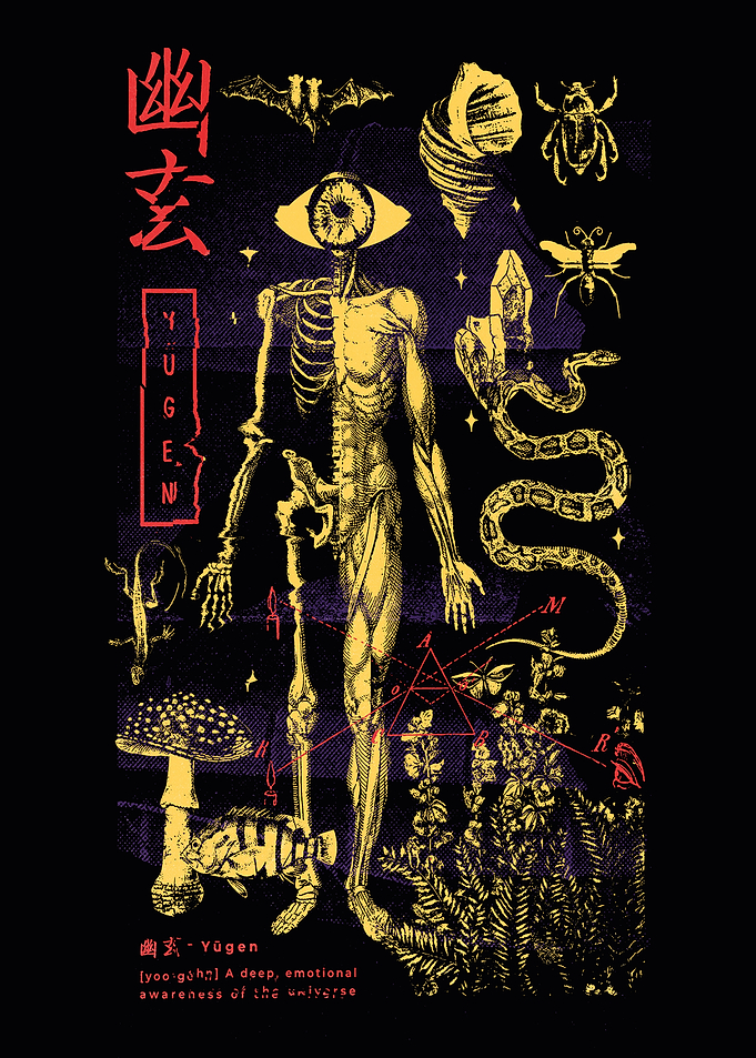 Anatomical body and