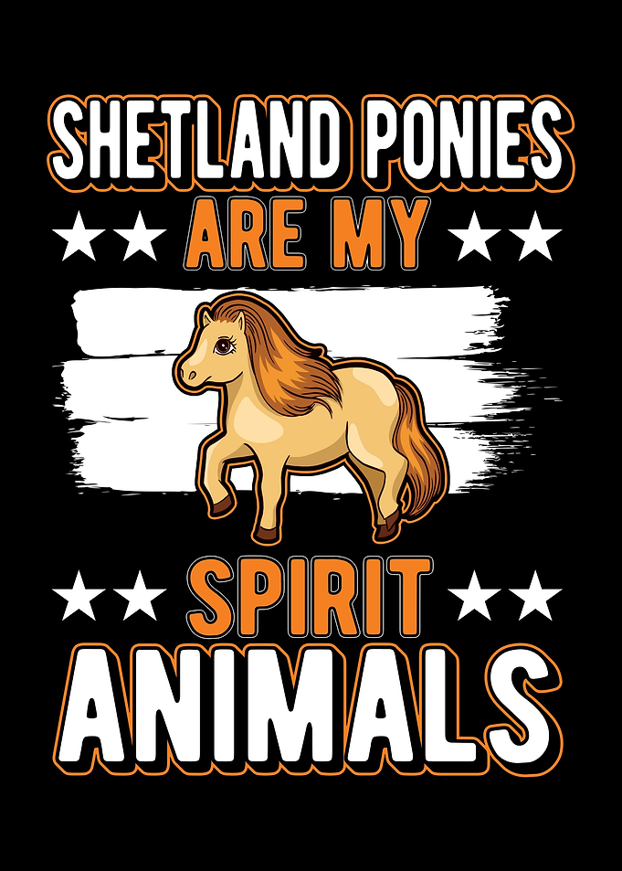 Shetland Pony Shetty