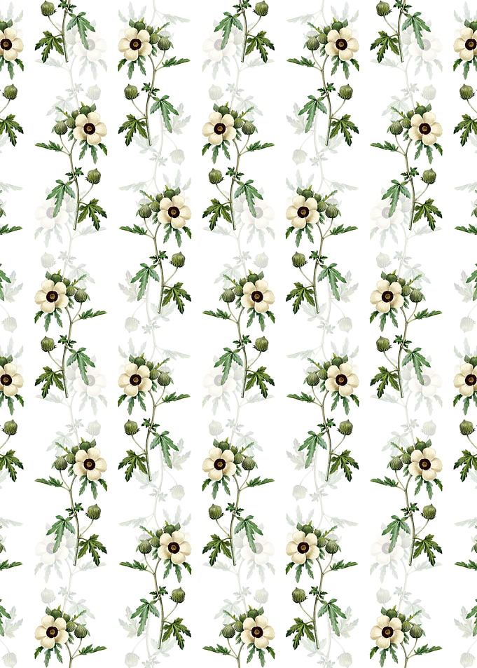 Venice Mallow Pattern