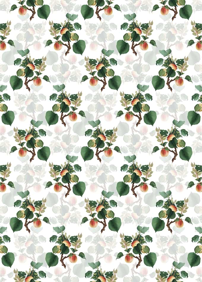 Floral Apricot Pattern