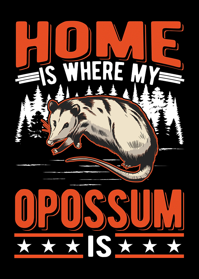 Opossum Gift Possum