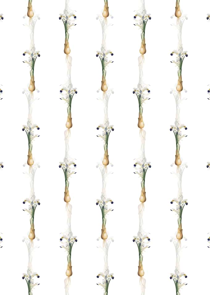 White Iris Persica Pattern