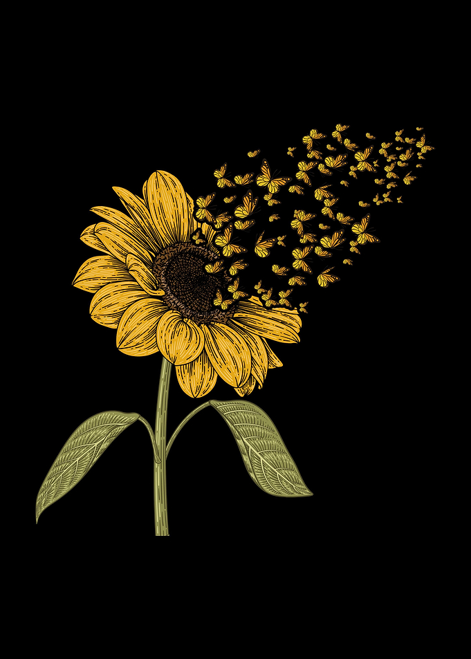 Sunflower Butterfly Floral