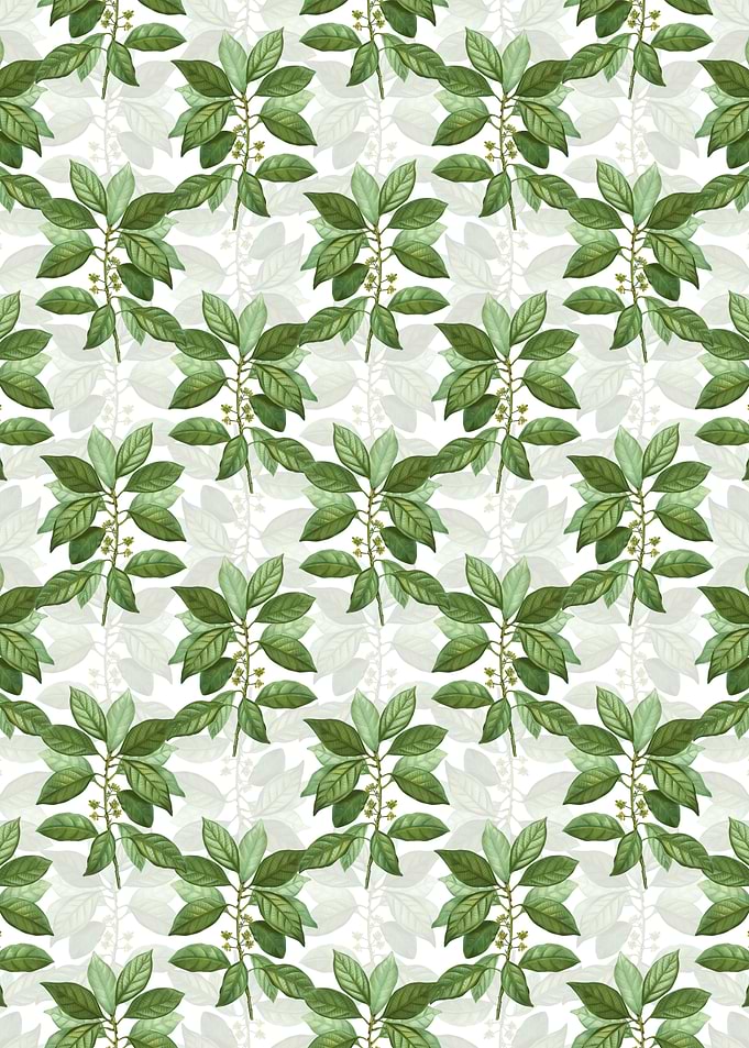 Floral Redbay Pattern