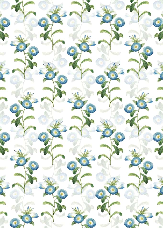 Field Bindweed Pattern