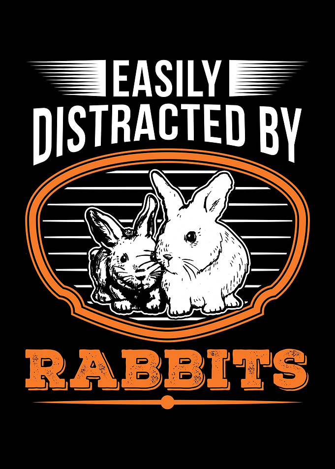 Rabbit Hare Bunny