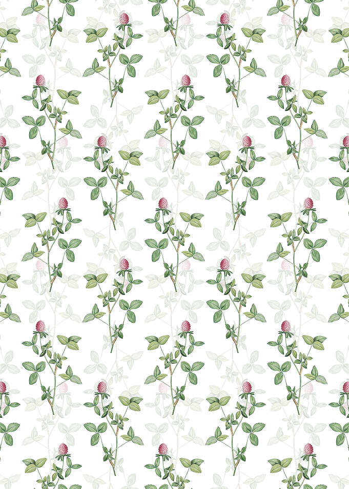 Floral Pink Clover Pattern