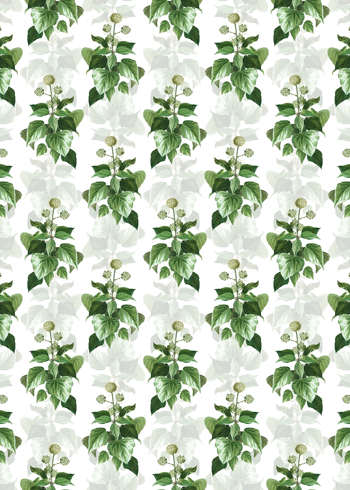 Floral Common Ivy Pattern