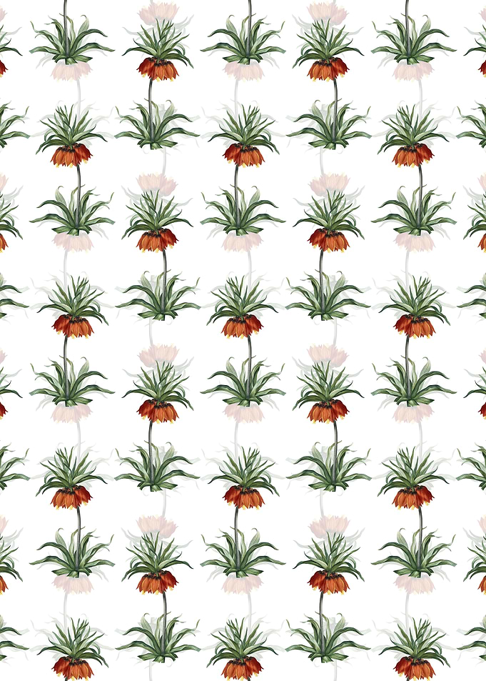 White Fritillaries Pattern